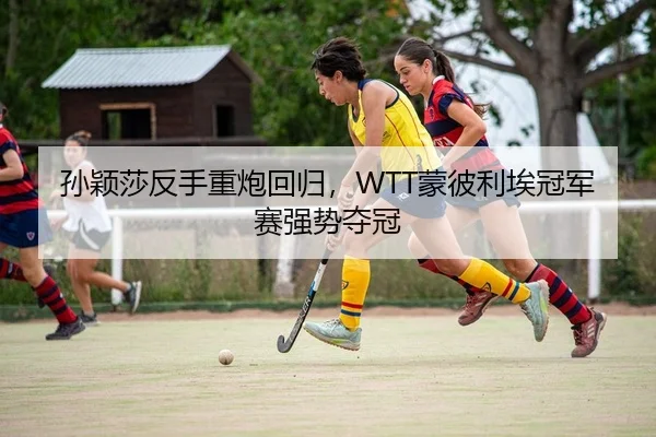 孙颖莎反手重炮回归，WTT蒙彼利埃冠军赛强势夺冠